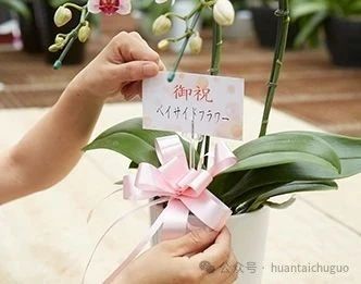 c0bb7864-96e9-47b7-a55c-82bbc1160967.jpg