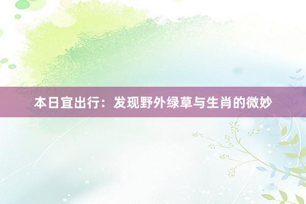 本日宜出行：发现野外绿草与生肖的微妙